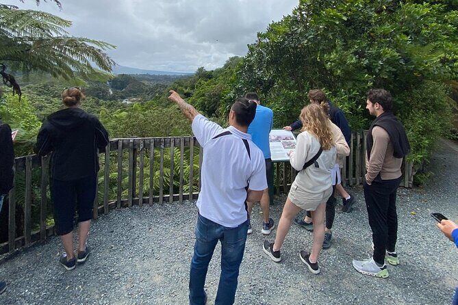 Afternoon Eco-Thermal Tour Explore Nature's Wonders - Authentic Experiences and Insights from Reviewers