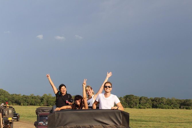 Afternoon Safari at Minneriya National Park