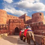 Agra Fort: A Guided Walking Tour of UNESCO World Heritage - Why Choose This Tour?