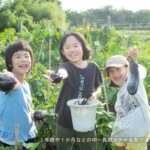 Aichi: Regenerative Farm Stay with Lunch at Doronko Village - Practical Details and Tips