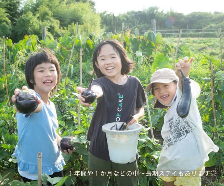 Aichi: Regenerative Farm Stay with Lunch at Doronko Village - Practical Details and Tips