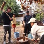 Aichi: Traditional Mochi-Pounding Experience at a Local Farm - What to Expect on the Day
