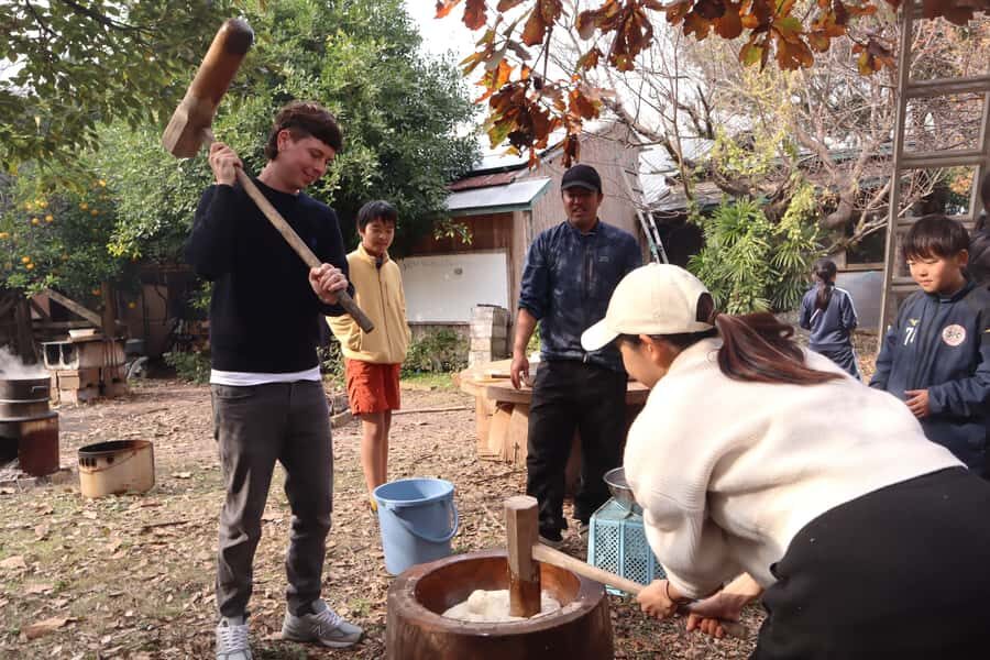 Aichi: Traditional Mochi-Pounding Experience at a Local Farm - What to Expect on the Day