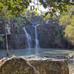 Airlie Beach: Cedar Creek Express Eco Tour - Who is this tour best suited for?