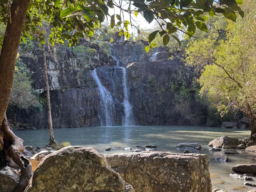 Airlie Beach: Cedar Creek Express Eco Tour - Who is this tour best suited for?