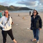 Airlie Beach: Kangaroos on the beach at dawn. - Transport, Group Size, and Value