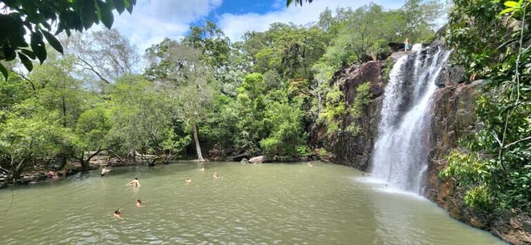 Airlie Beach: Waterfall & Rainforest Bushwalk Eco Adventure - Why This Tour Offers Great Value