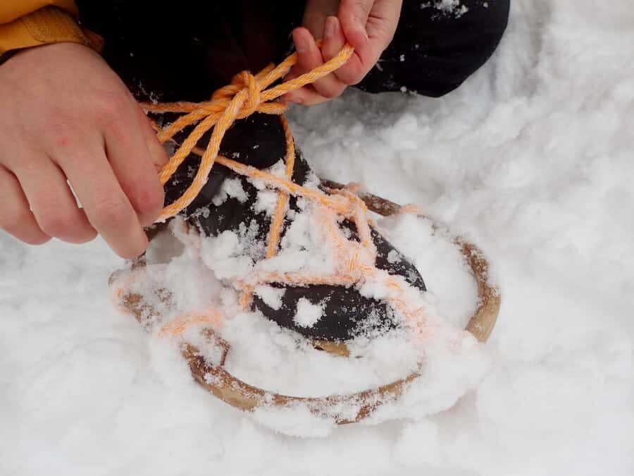 Aizu: Traditional Snowshoe Trek & Local Walnut Soba - Who Will Love This Tour?
