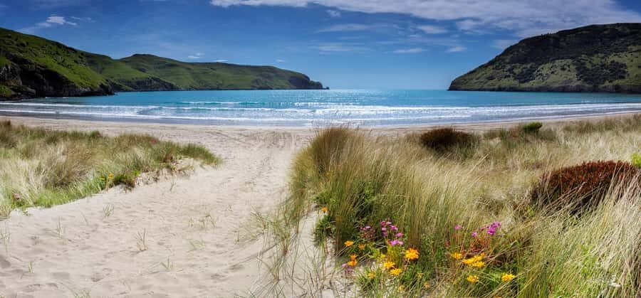 Akaroa: Lonely Beach Trail by E-Scooter. selfguided day out - The Experience: What We Loved and What to Keep in Mind
