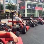 Akihabara: Go-Kart Experience with Local Guide - The Route and Sightseeing