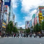 Akihabara: Kawaii and Moe Culture Guided Tour with Idol - Itinerary Breakdown