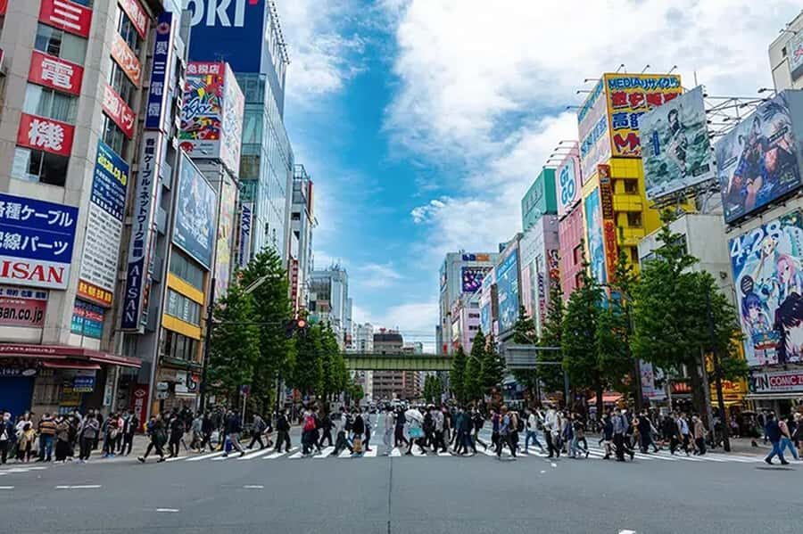 Akihabara: Kawaii and Moe Culture Guided Tour with Idol - Itinerary Breakdown