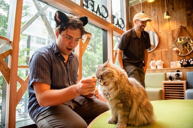 Akihabara Pop Culture and Relaxing Cat Café Tour with Local Guide - Why This Tour Adds Value