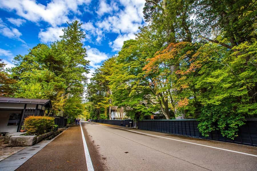 Akita: Kakunodate Samurai District & Residence Tour - Who Would Love This Tour?