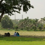 Akshardham Temple with Walk in the Green Paradise of Rajghat and Shanti Van - Who This Tour Is Best For