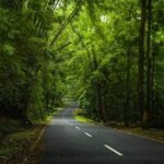 Alappuzha Backwaters in Private Houseboat with Lunch, Pick & Drop - FAQs