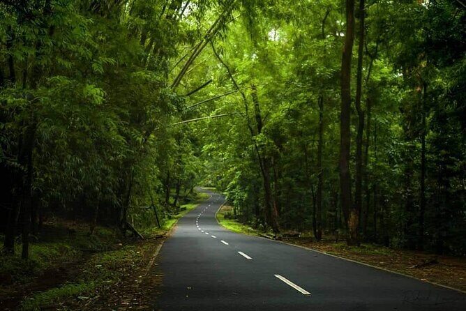 Alappuzha Backwaters in Private Houseboat with Lunch, Pick & Drop - FAQs