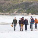 Albany: Lighting the Sound Twilight Hike - An In-Depth Look at the Experience