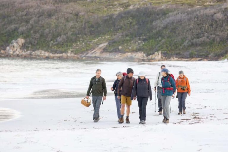 Albany: Lighting the Sound Twilight Hike - An In-Depth Look at the Experience