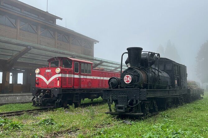 Alishan Day Tour from Kaohsiung (Incl. Park Entrance) - Transport and Logistics