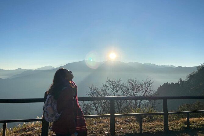 Alishan National Forest Recreation Area Ticket by Zhushan Line - Transportation and Logistics