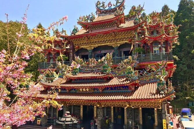 Alishan Private Day Tour from Taichung - What Makes This Tour Stand Out?
