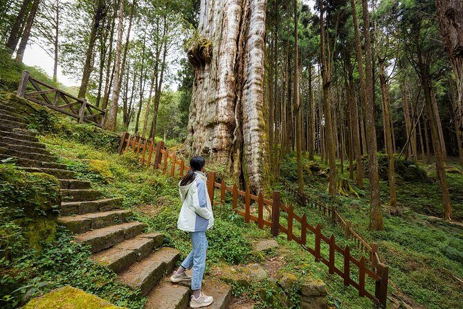 Alishan Taiwan 2 Day Private Tour from Taipei - Transport, Accommodation, and Practicalities