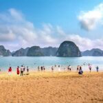 All Inclusive 2 Days 1 Night 5-STAR Cruises in Halong Bay - A Closer Look at the 2-Day Itinerary
