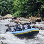 All inclusive : Ayung River White Water Rafting Lunch and Private Transport - What to Expect Throughout the Day