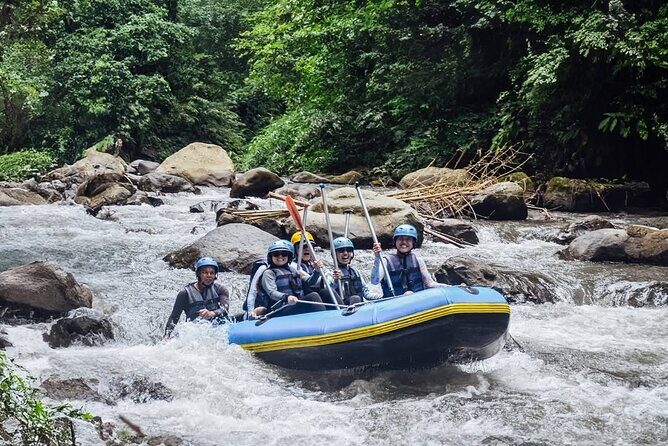 All inclusive : Ayung River White Water Rafting Lunch and Private Transport - What to Expect Throughout the Day