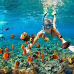 All Inclusive Bali Blue Lagoon Snorkeling Adventure - Real Experiences & Authentic Insights