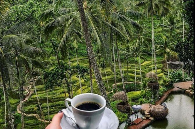 All INCLUSIVE Bali snorkeling at blue lagoon and tanjung jepun - What Makes This Tour Stand Out?