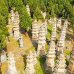 All-inclusive Customized Luoyang Layover Tour with Shaolin Temple - Transportation and Logistics