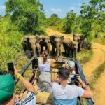 All Inclusive Hurulu Eco Park 3 Hour Elephant Safari Tour - What to Expect from the Tour