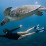 All Inclusive Nusa Penida Snorkeling Tour with Visit West Island - Authentic Insights from Past Travelers
