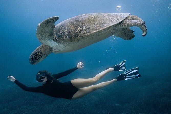 All Inclusive Nusa Penida Snorkeling Tour with Visit West Island - Authentic Insights from Past Travelers