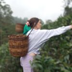 All-Inclusive Nuwara Eliya Tuk-Tuk Tour: Tea & Waterfalls - Why This Tour Really Works for Travelers