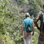 All Inclusive - Private Overnight Rain forest adventure in Sinharaja - Detailed Review: Unpacking the Sinharaja Rainforest Private Tour