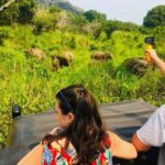 All Inclusive Private Safari at Habarana Park (Pick-up Included) - Why This Safari Stands Out