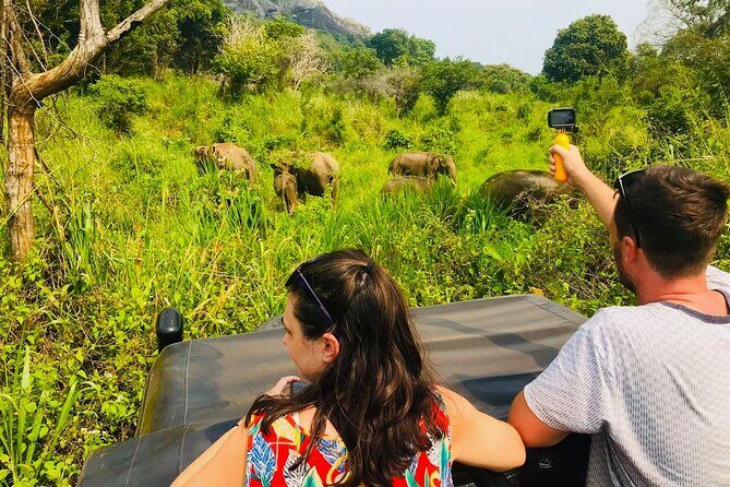 All Inclusive Private Safari at Habarana Park (Pick-up Included) - Why This Safari Stands Out