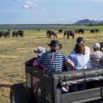 All Inclusive Safari at Minneriya National Park from Polonnaruwa - Why Choose the Minneriya Safari?