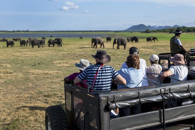 All Inclusive Safari at Minneriya National Park from Polonnaruwa - Why Choose the Minneriya Safari?