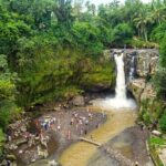 All-Inclusive Ubud Bali Private Full-Day Tour - Practical Details and What They Mean for You