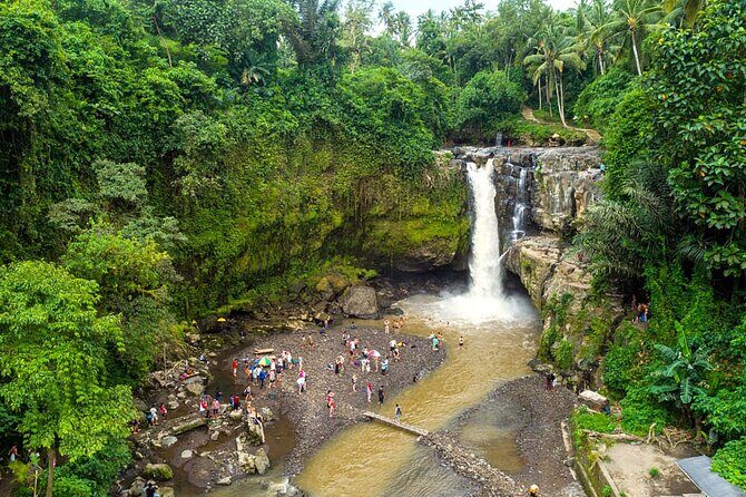 All-Inclusive Ubud Bali Private Full-Day Tour - Practical Details and What They Mean for You