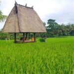 All-Inclusive Ubud Private Tour with Hotel Transfer - The Itinerary in Detail