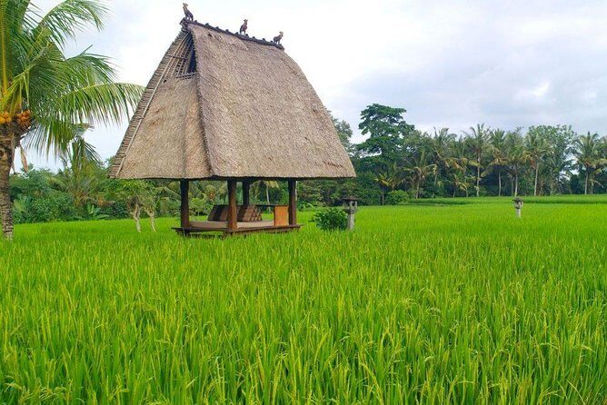 All-Inclusive Ubud Private Tour with Hotel Transfer - The Itinerary in Detail
