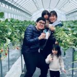 All You Can Eat Strawberry Picking in Izumisano Osaka - The Experience’s Highlights and Drawbacks