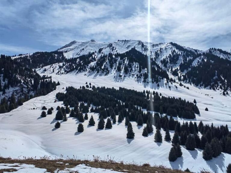 Almaty: Moderate hiking to Kok Zhailau - Who Should Consider This Tour?