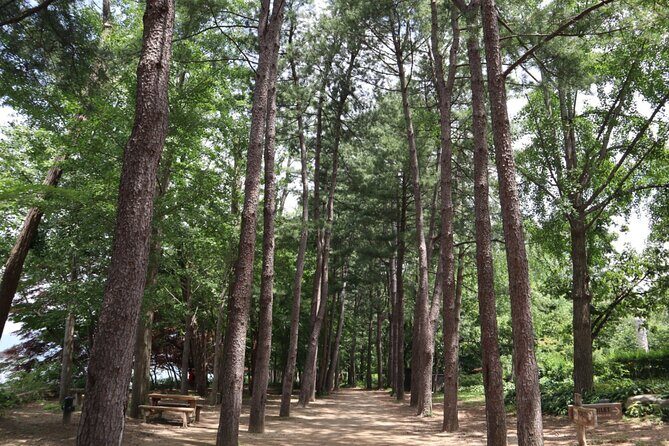 Alpaca, Nami, Petite Fr, Italian Village, Garden of Morning Calm - What to Expect on the Day