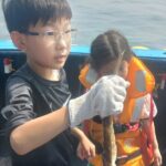 Alpaca World & Nami Island Private Tour - Why You Should Consider This Tour